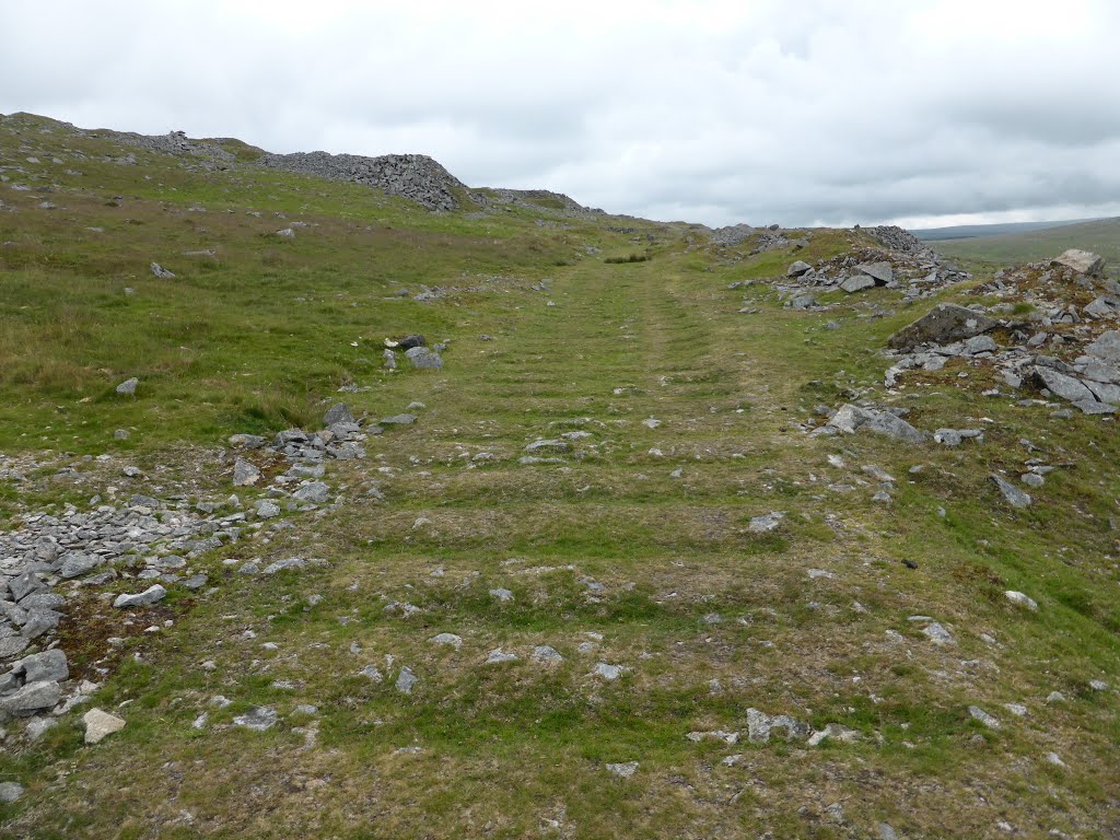 Dismantled railway track up to Swelltor Quarry by Andrew Stead