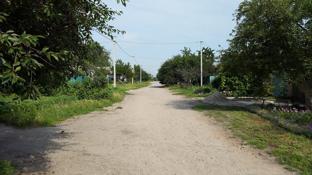 Балашівка, Кропивницький, Кіровоградська область, Ukraine by Сергій Мозговий