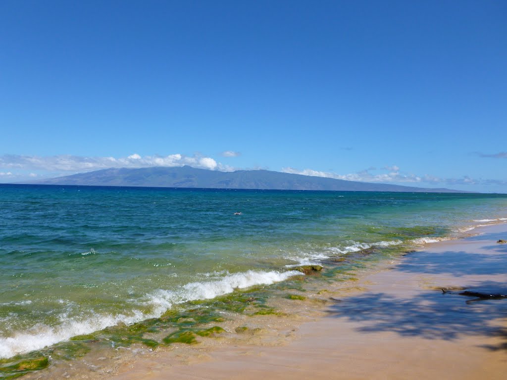 Lahaina, HI, USA by violavirágom