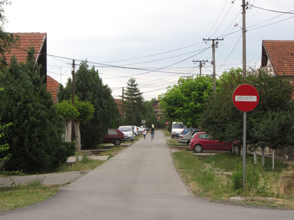 Bagljaš, Zrenjanin, Serbia by Laimostudija.lt