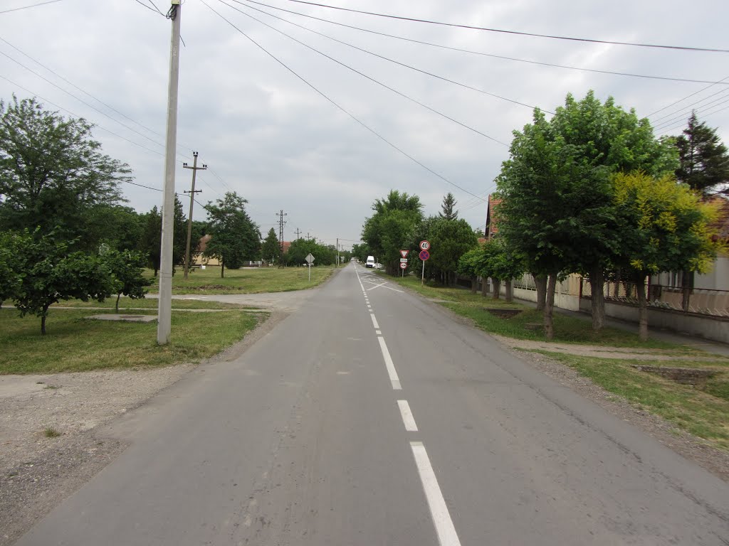 Bagljaš, Zrenjanin, Serbia by Laimostudija.lt