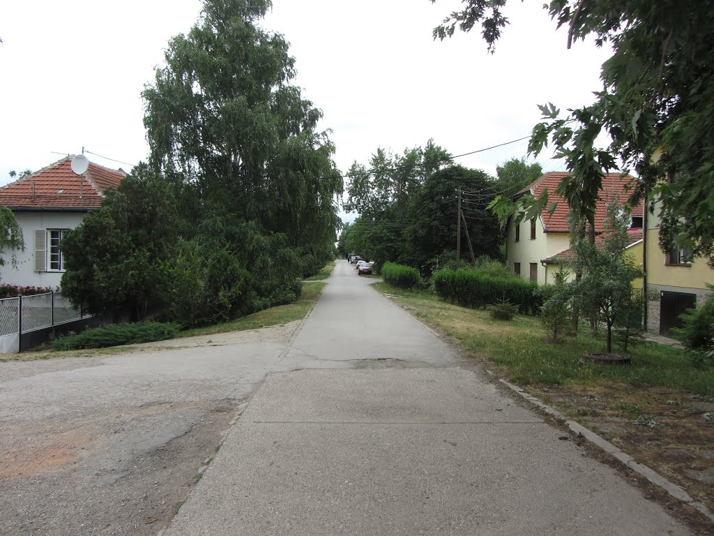 Zrenjanin, Serbia by Laimostudija.lt