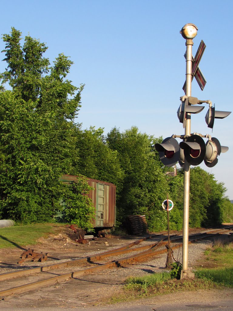 Box Car at Chester Depot by Chris Sanfino