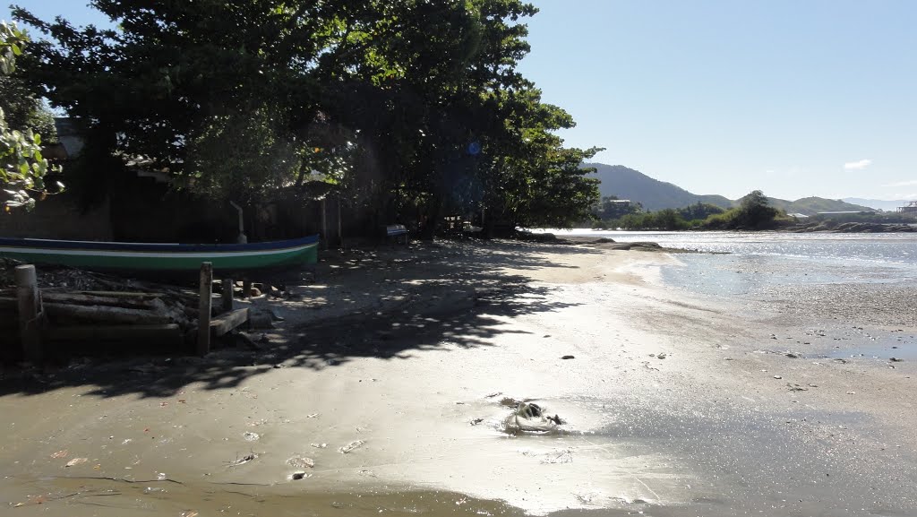 Sao Sebastiao - Praia Baia do Araça by Renato Carraro