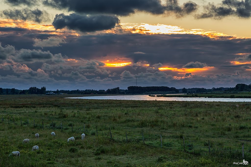 Nature area Zuiderdiep by Bram van Broekhoven