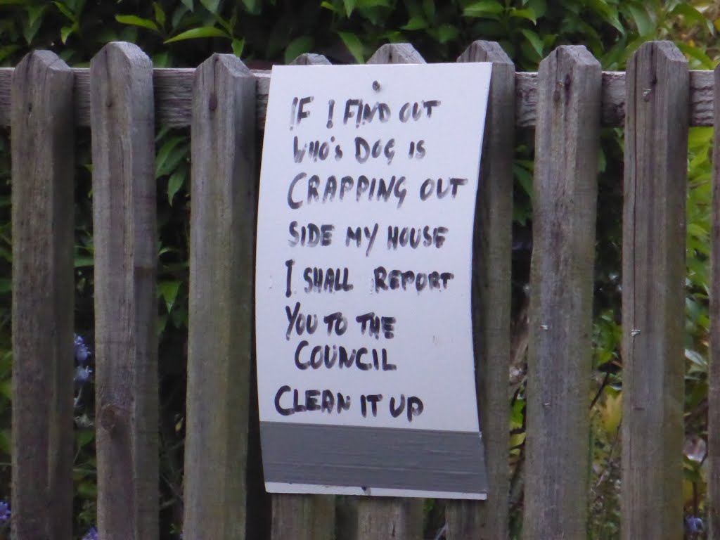 One Harbertonford resident has had enough of the local dogs... by Andrew Stead