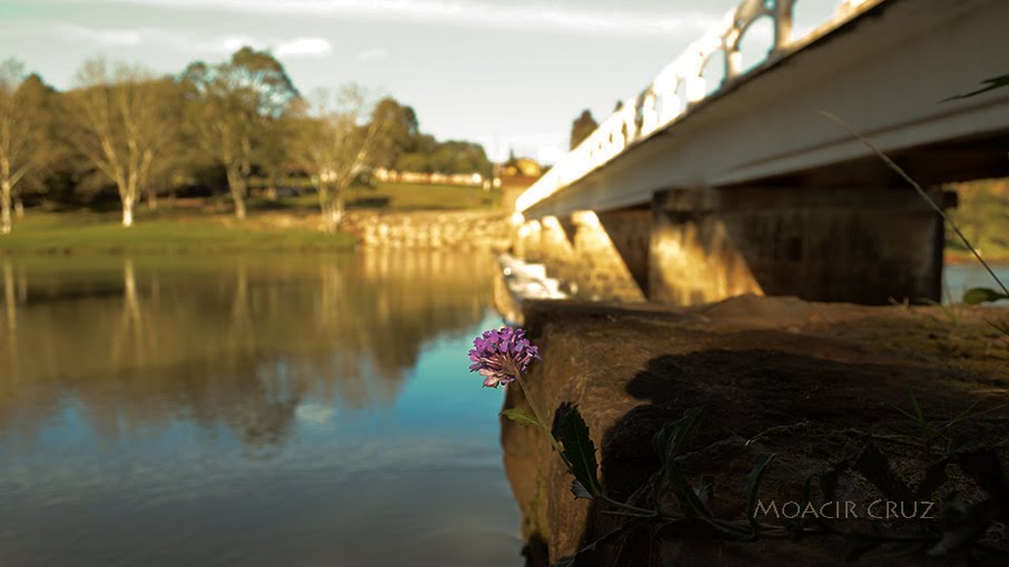 Rio Jordão - Guarapuava by Moacir Cruz