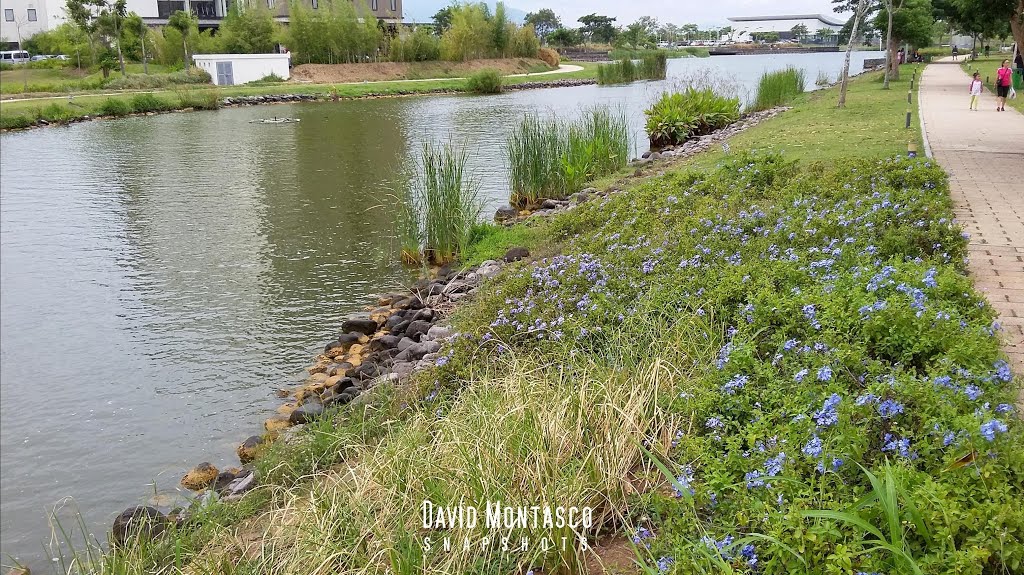 Nuvali Lake 2015 by david montasco