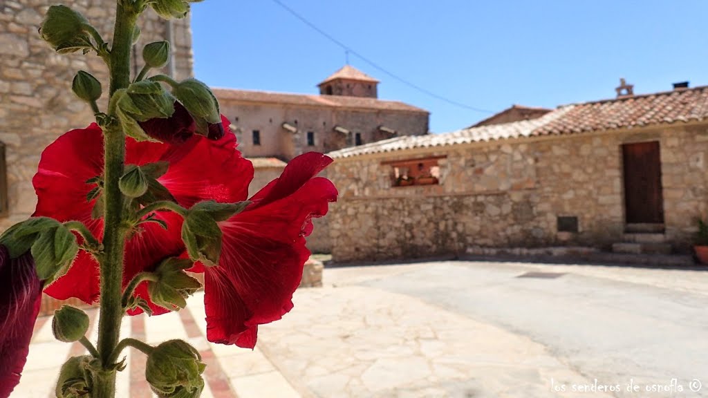 L´Albiol (Tarragona) by Los senderos de osno…