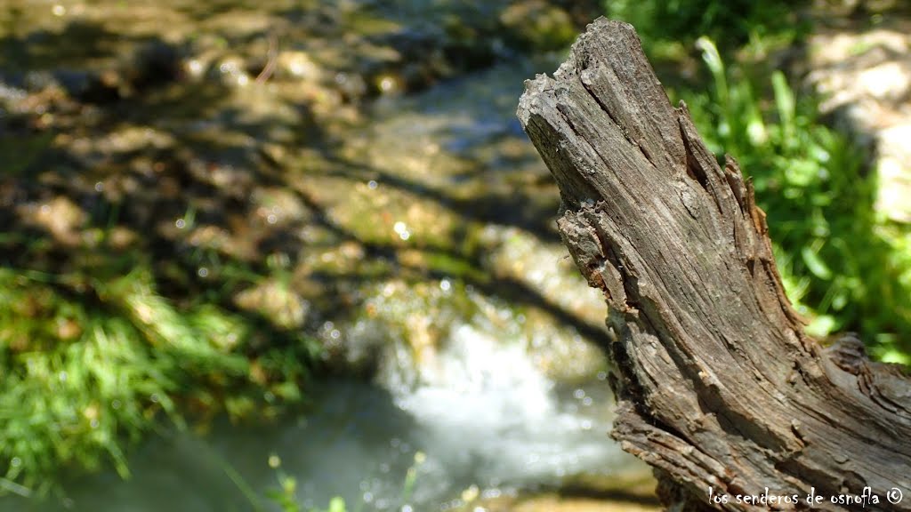 Río Glorieta by Los senderos de osno…