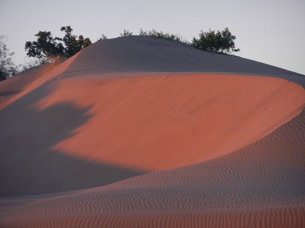 Dunas al amanecer*yalé by yalé