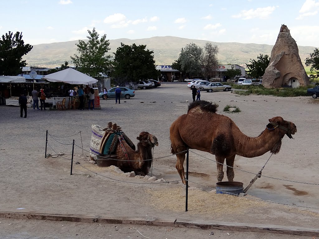 50500 Aktepe/Avanos/Nevşehir, Turkey by Anne Offermanns