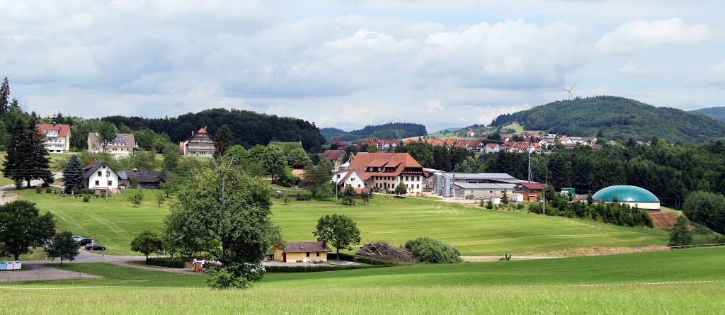 Freiamt- Mußbach, Deutschland by dbuehler