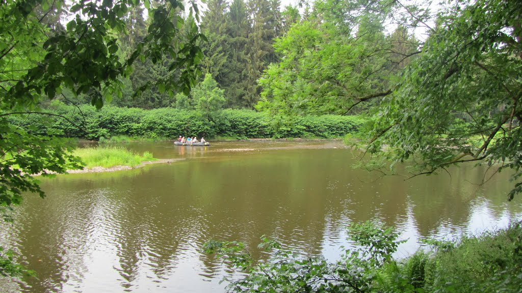 Die Zwickauer Mulde bei Wechselburg by gerdb