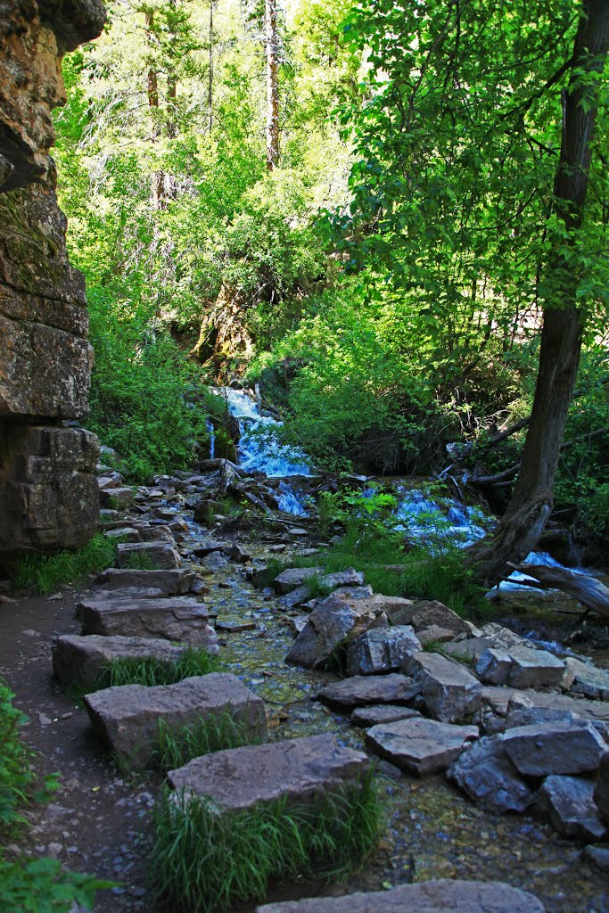 Trail to Hanging Lake by DeWayne Hansen