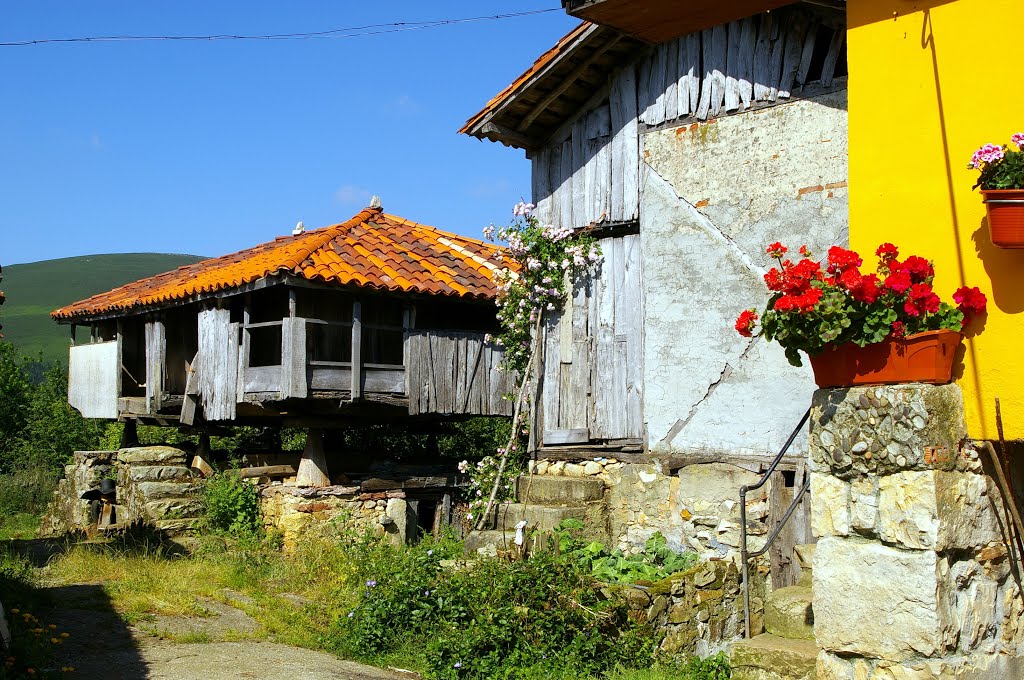 Antoñana, Belmonte de Miranda, Asturias by Antonio Alba