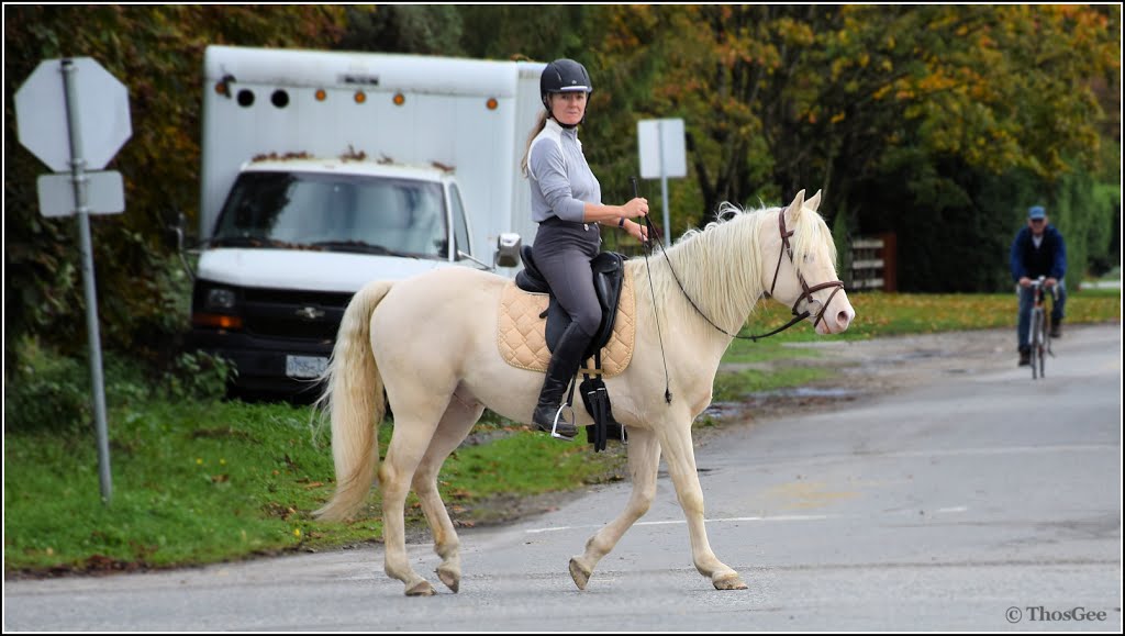 Lady on horse, Southlands - October 2014 by ThosGee