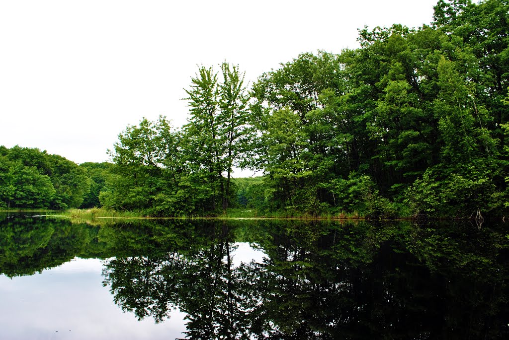 Town Line Lake by Aaron Carlson