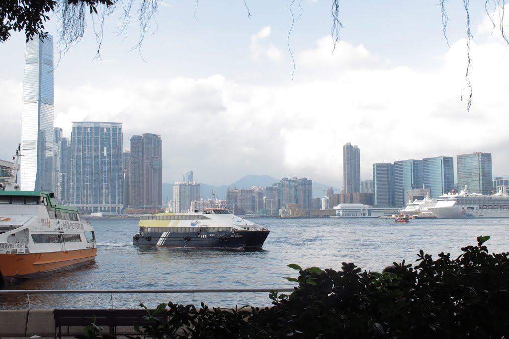 海港 - Hong Kong harbor by Steven H. Chen