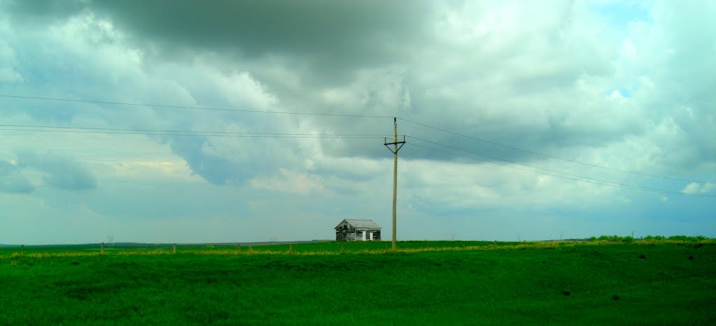 North to Alaska- abandoned barn, west of Driscoll, ND, may 25, 2015, 303pm. by Tom Dudones