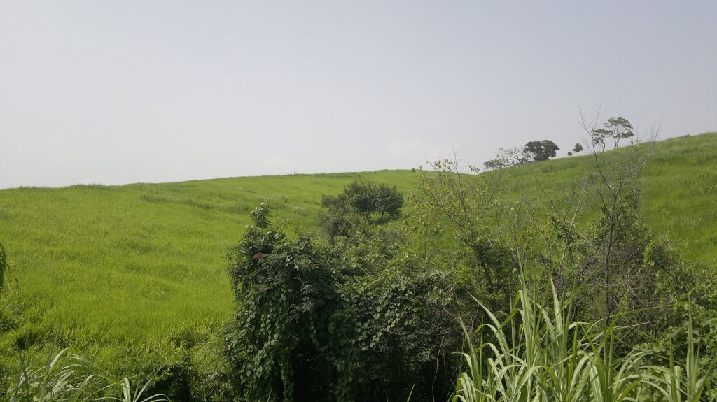 Escuintla, Guatemala by elver patzan