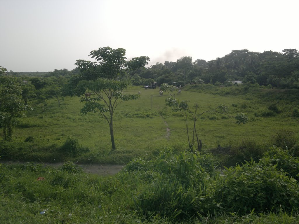 Tiquisate, Guatemala by elver patzan