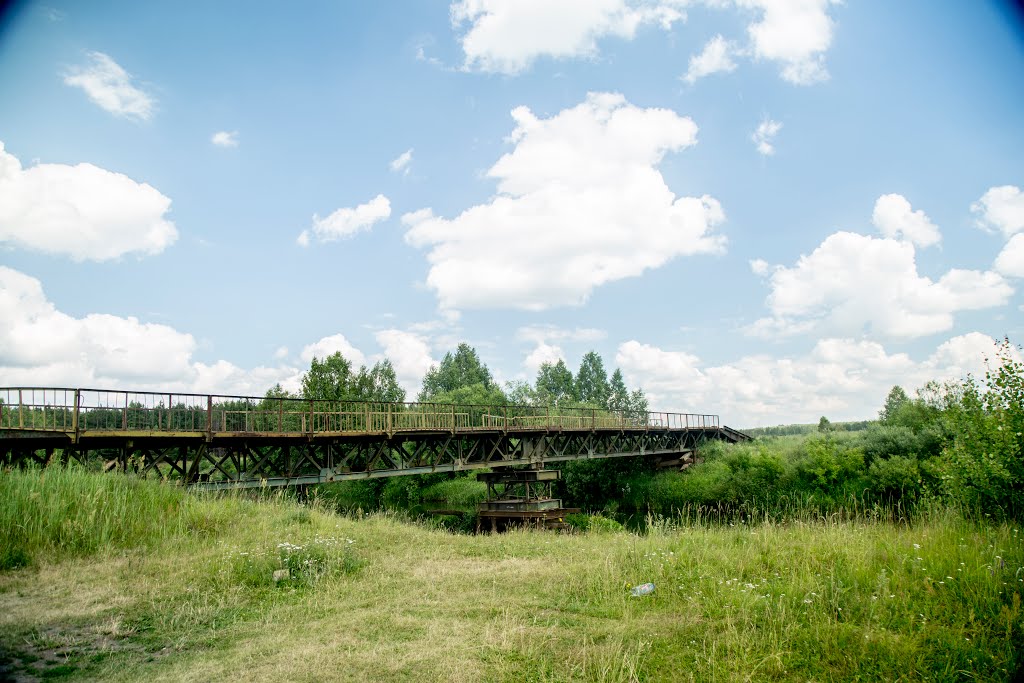 «Овечий» мост через р. Киржач by Пётр Климачёв