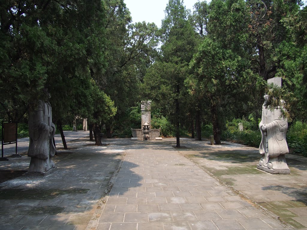 孔令贻墓 - Tomb of Kong Lingyi - 2015.06 by rheins