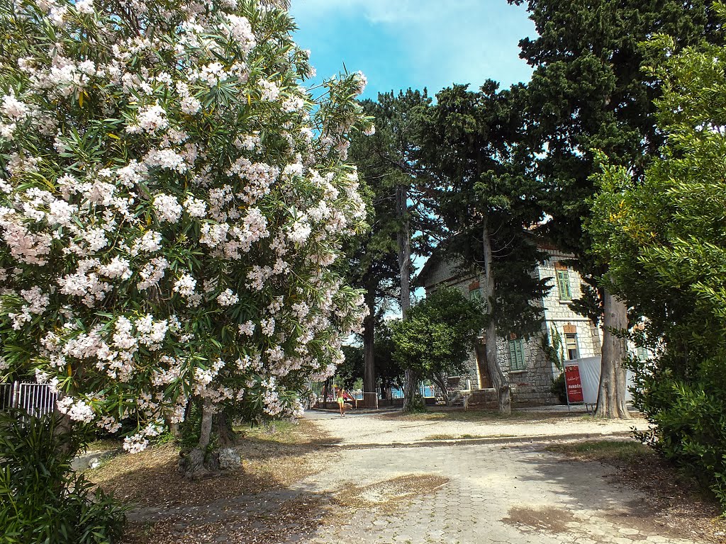 In Kaštel Lukšić by Hermi Klinky