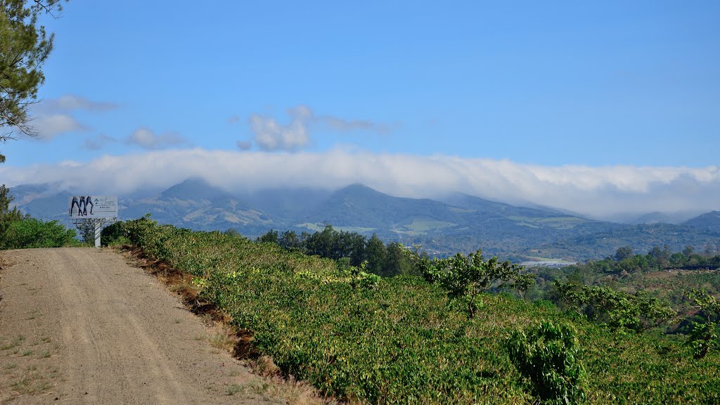 Provincia de Alajuela, Naranjo, Costa Rica by latforum