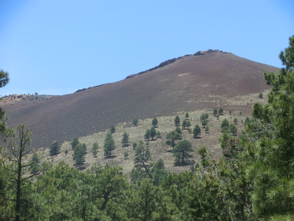 Coconino County, AZ, USA by Kaktusblüte