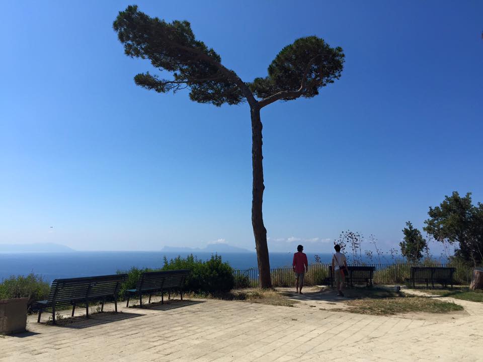 Magnifica vista, Parco Virgiliano by Vincenzo Desantis