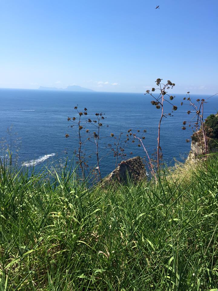 L'isola di Capri vista dal Parco Virgiliano by Vincenzo Desantis