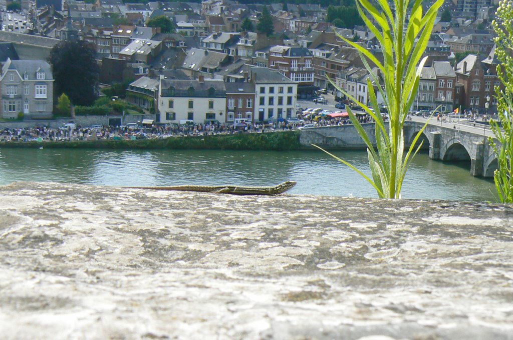 Brocante de Jambes le dimanche matin sous la surveillance des lézards de la citadelle by Serge de Namur