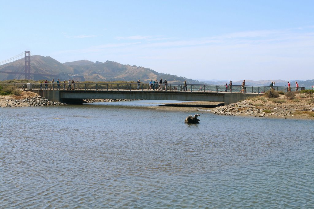 Walkway bridge over Tidal Marsh by Rosencruz Sumera