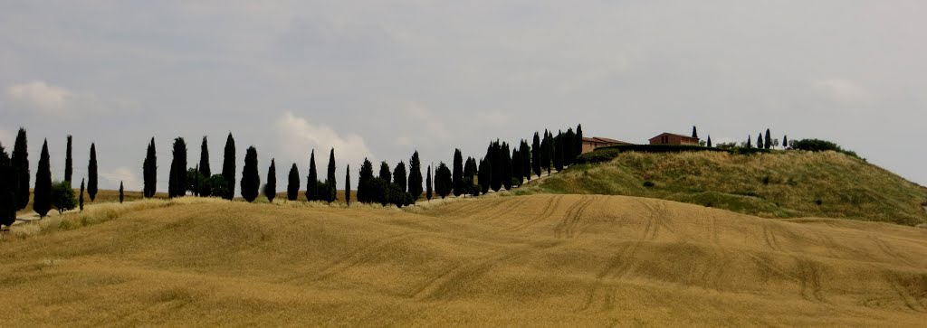 STRADE COLLINE CIPRESSI NELLE CRETE SENESI 7 by giordano pascali