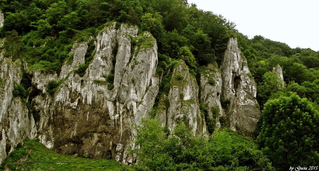 Parc National d'Ojców by Gucia Max