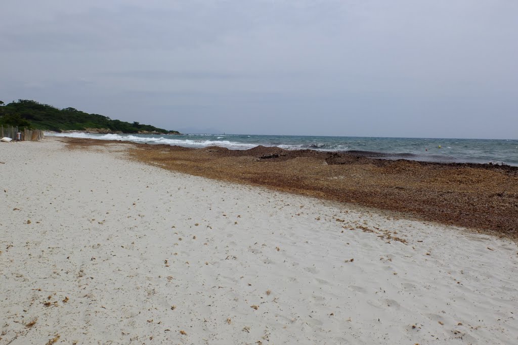 Le sentier du littoral - by Andrea Gervasoni and…