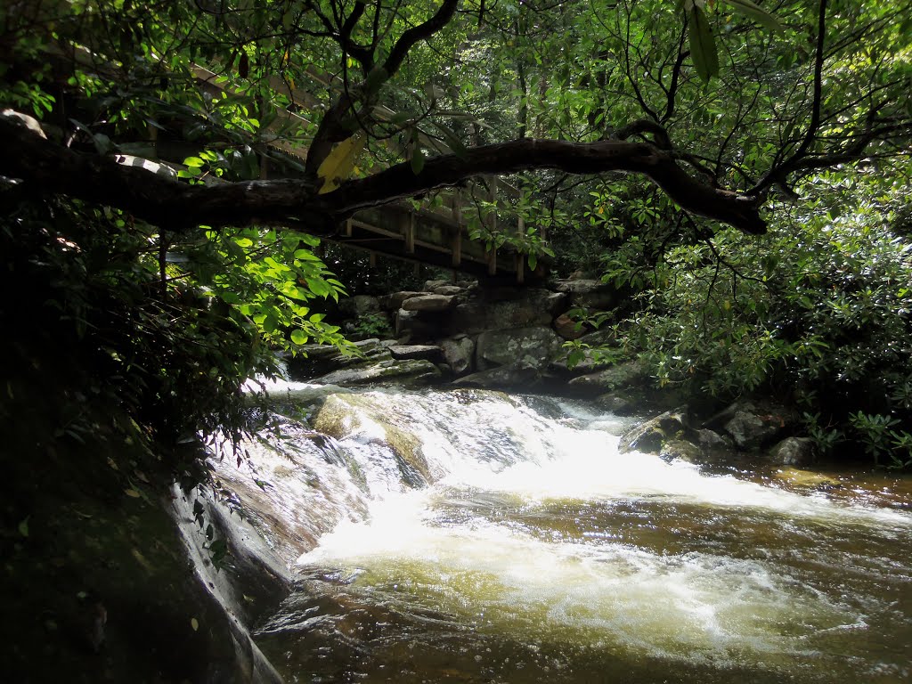 Bridge over the stream by N Plutonium