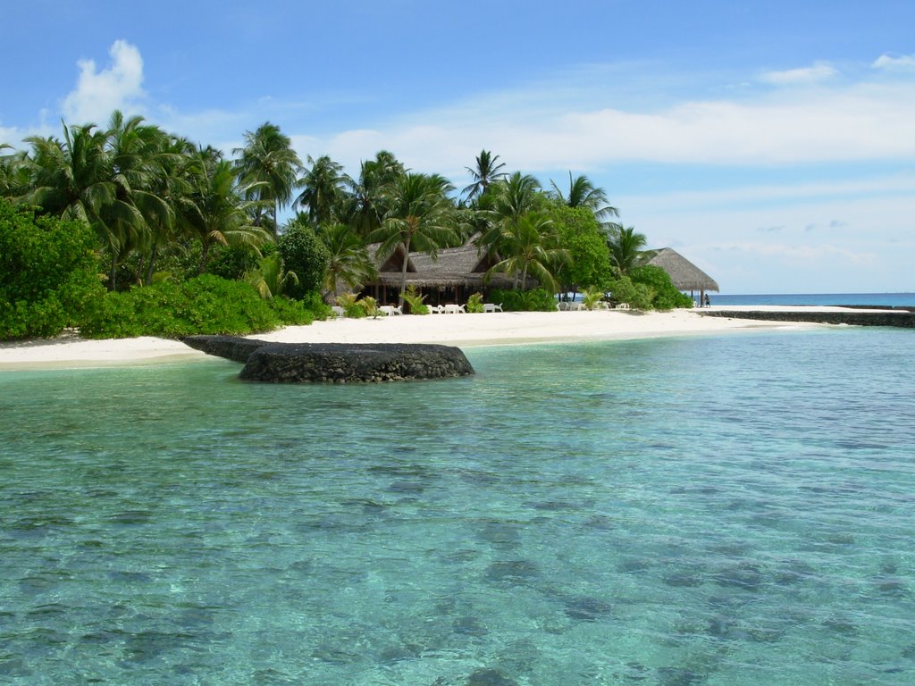 Beach and Dhoni Bar by Silvertip Shark