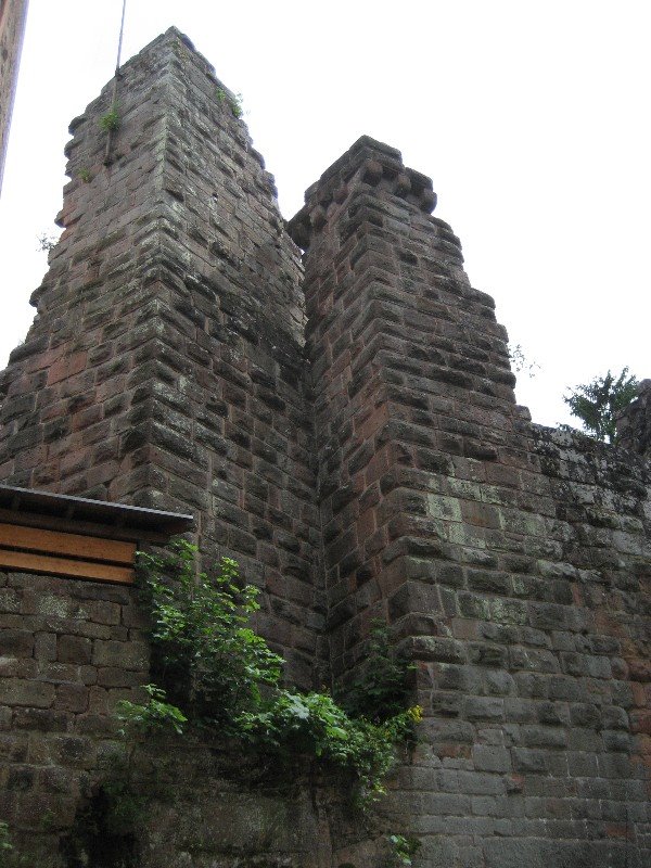 Ruine Wilenstein by StefanL.