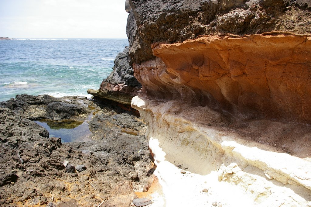 Punta del Hidalgo, Tenerife by Walenty Tvedby