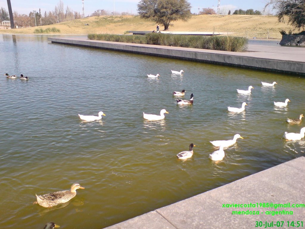 Parque Central, Mendoza capital by xavier_costa_mendoza