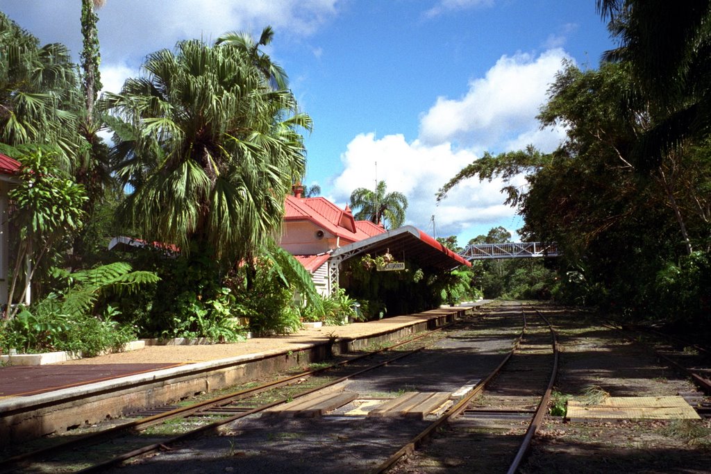 Kuranda by salfredo