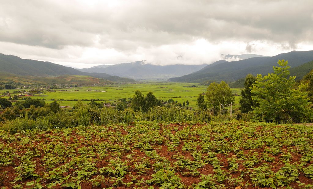 China - Yunnan - Lugu Hu to Lijiang - Near Ninglang by Carl Parker