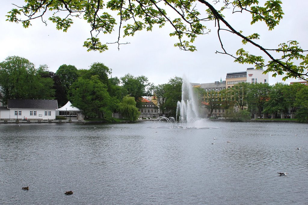 Lago y fuente (Stavanger, 23-6-2008) by Juanje 2712