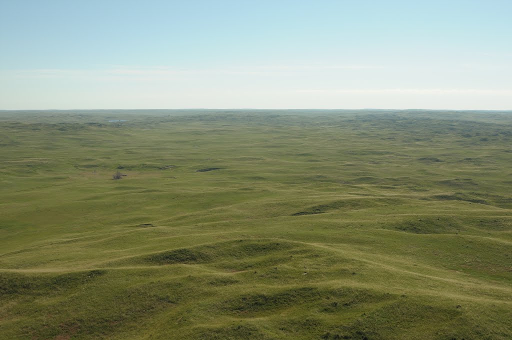 Aerial View, The Sandhills by J Sidle