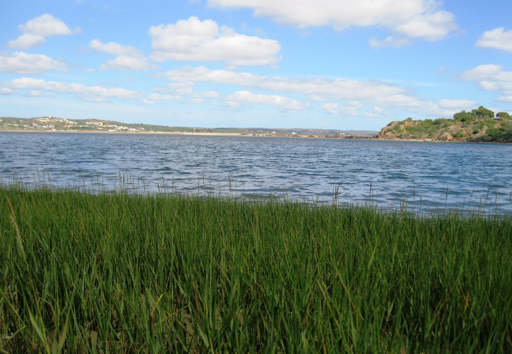 Margens da Ribeira de Odiàxere, perto de Alvor by A Almeida