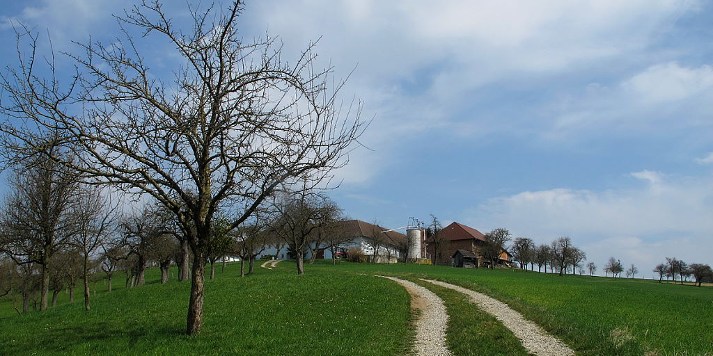 Wandern in St. Valentin by Norbert Steinwendner