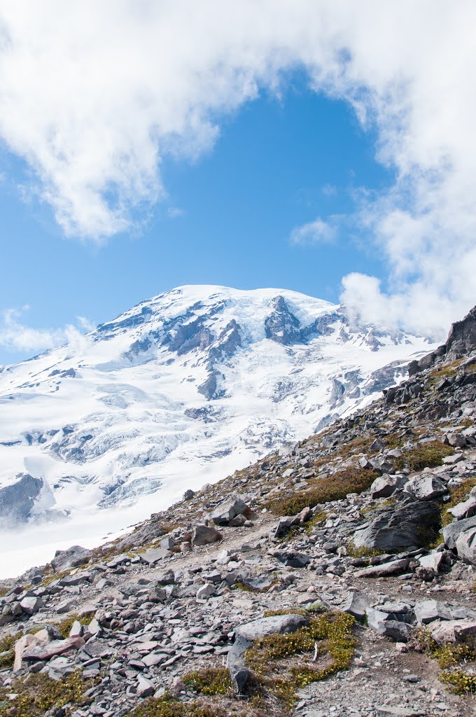 Mt Rainier by elly ball